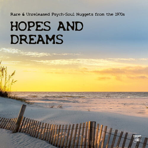 Various Artists: Hopes And Dreams: Rare & Unreleased Psych-Soul Nuggets from the 1970s - VINYL