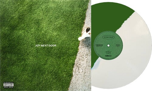 The Maine: Joy Next Door / RECORD