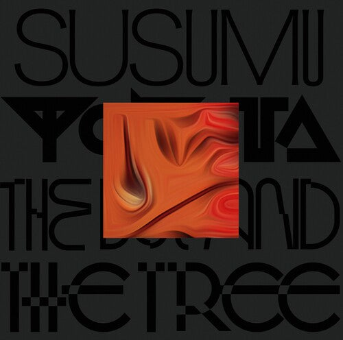 Susumu Yokota: The Boy And The Tree - Skintone - VINYL LP