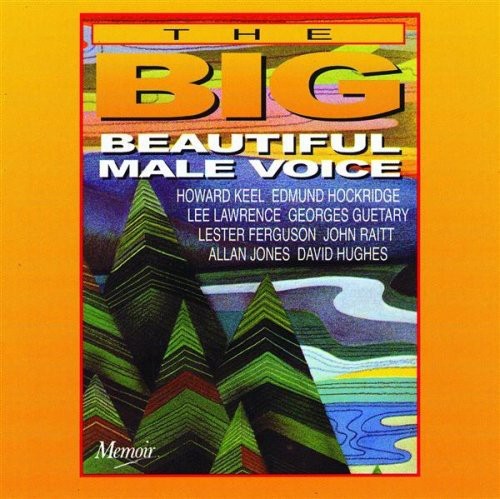 Various Artists: The Big Beautiful Male Voice - CD