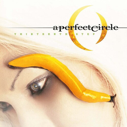 A Perfect Circle: Thirteenth Step / RECORD