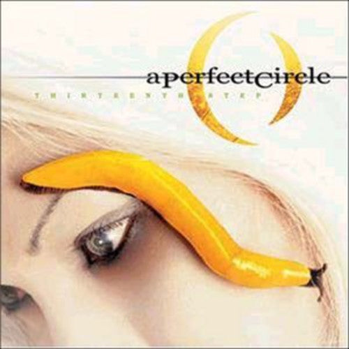 A Perfect Circle: Thirteenth Step / RECORD