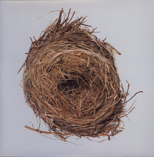 Wilco: A Ghost Is Born / RECORD
