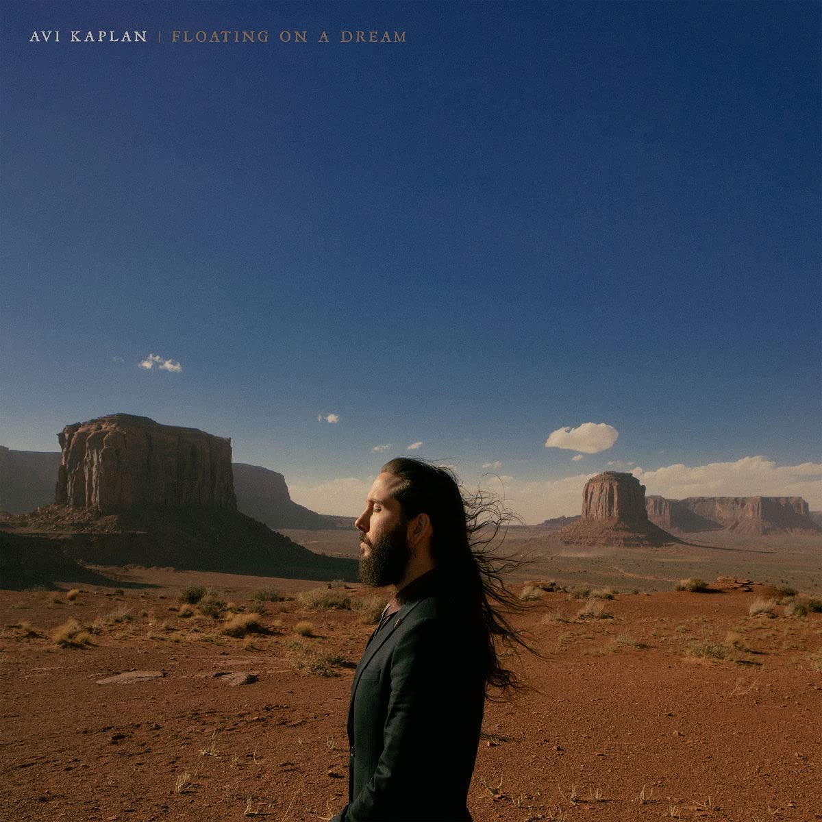Avi Kaplan: Floating On A Dream / RECORD